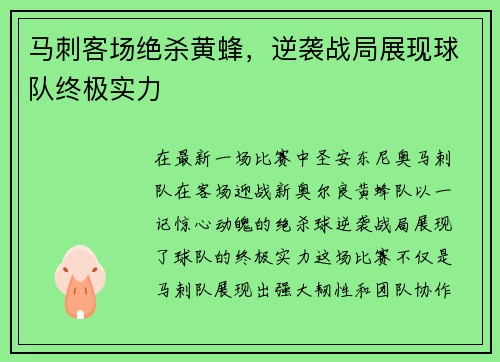 马刺客场绝杀黄蜂，逆袭战局展现球队终极实力