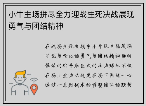 小牛主场拼尽全力迎战生死决战展现勇气与团结精神