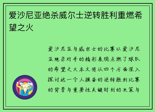 爱沙尼亚绝杀威尔士逆转胜利重燃希望之火