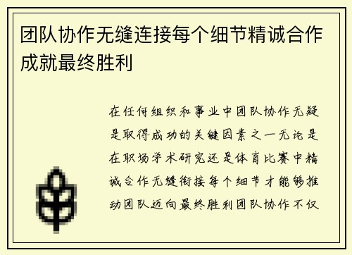 团队协作无缝连接每个细节精诚合作成就最终胜利