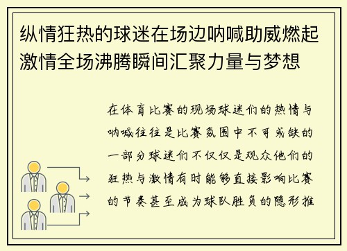 纵情狂热的球迷在场边呐喊助威燃起激情全场沸腾瞬间汇聚力量与梦想