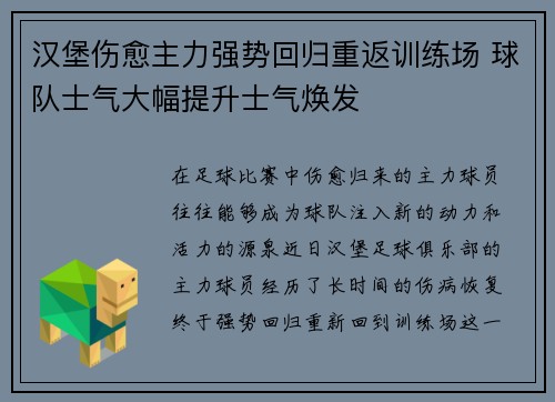 汉堡伤愈主力强势回归重返训练场 球队士气大幅提升士气焕发