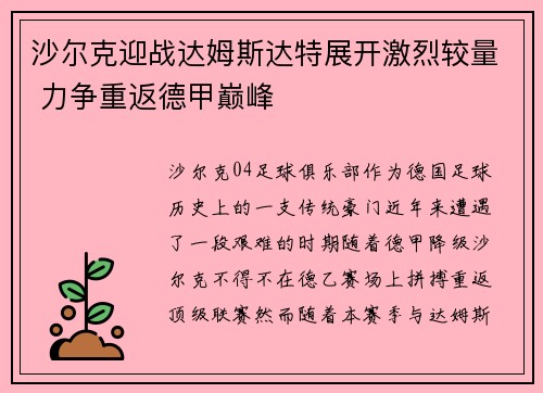 沙尔克迎战达姆斯达特展开激烈较量 力争重返德甲巅峰